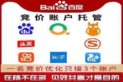 竞价排名案例分析：电商行业